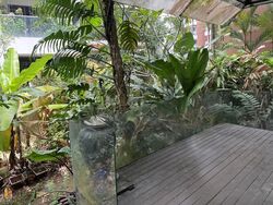 Platina Gardens (D27), Terrace #578522411
